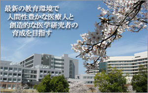 桜と校舎