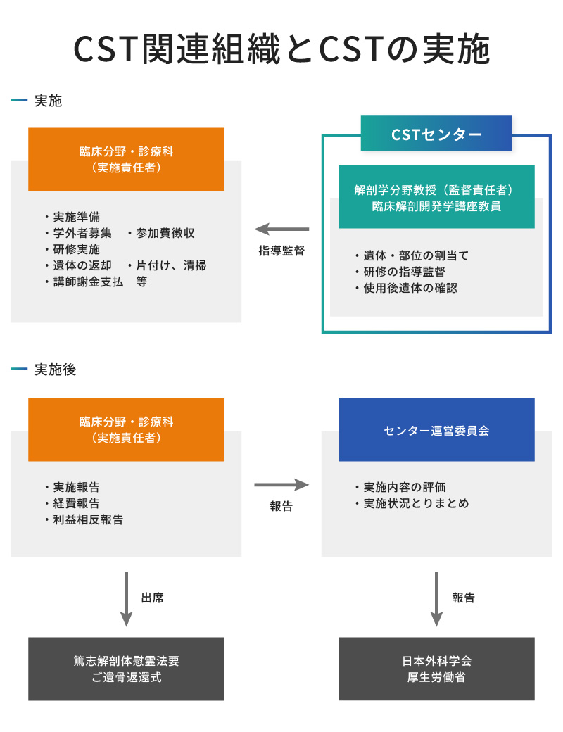 CST関連組織とCSTの実施