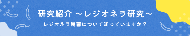 研究紹介～レジオネラ研究～