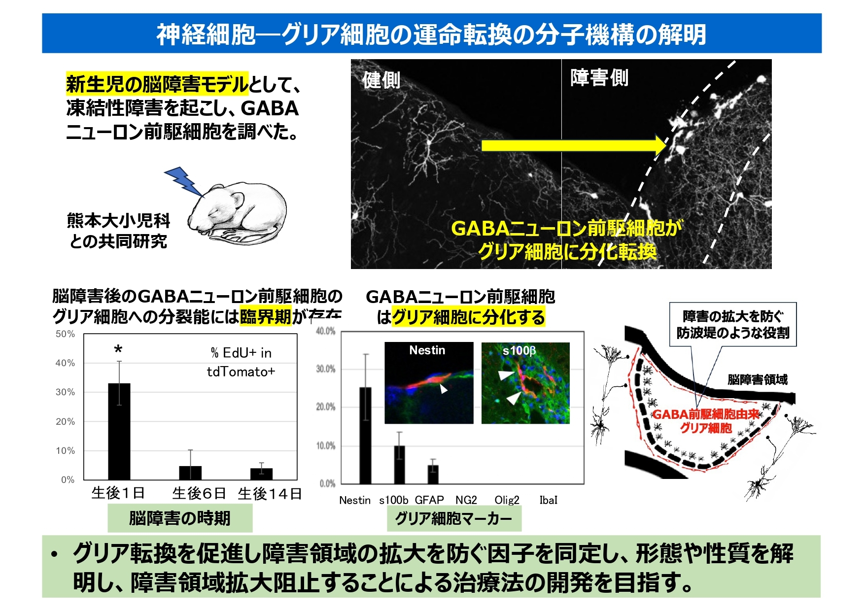 research_e1.jpg