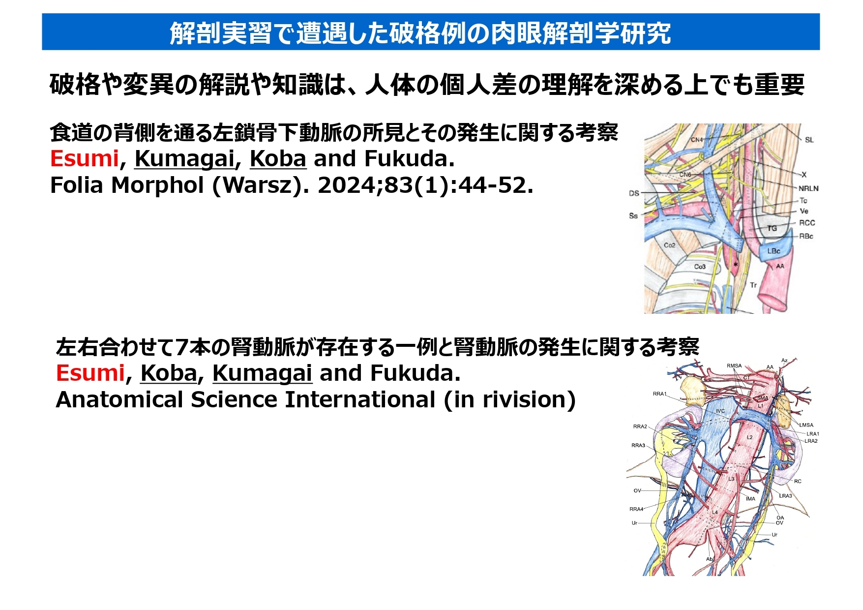 【江角】大脳皮質の抑制性神経細胞の発生発達と分化転換機構の解析_page-0002.jpg