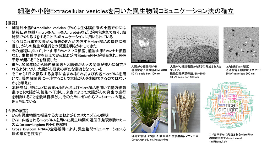 細胞外小胞 Extracellular vesicles を用いた異生物間コミュニケーション法の確立