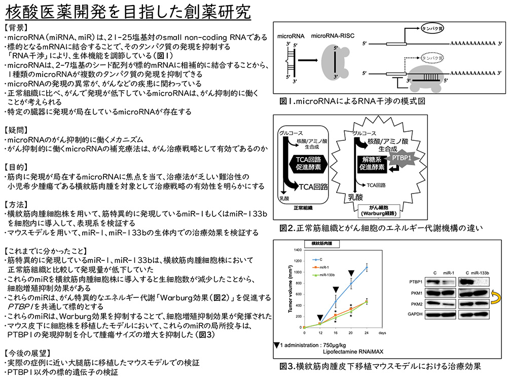 核酸医薬開発を目指した創薬研究