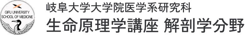 岐阜大学大学院医学系研究科 生命原理学講座 解剖学分野