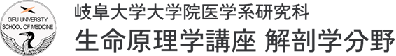 岐阜大学大学院医学系研究科 生命原理学講座 解剖学分野