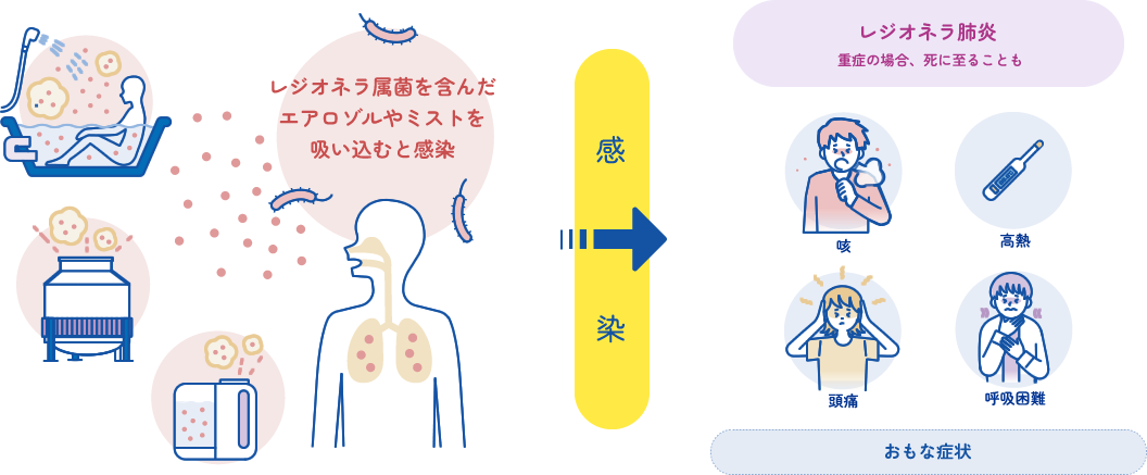 レジオネラ感染経路とレジオネラ肺炎のおもな症状